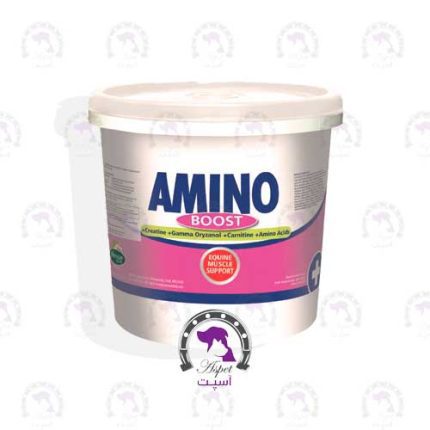 قیمت مکمل اسب آمینو بوست AMINO BOOST