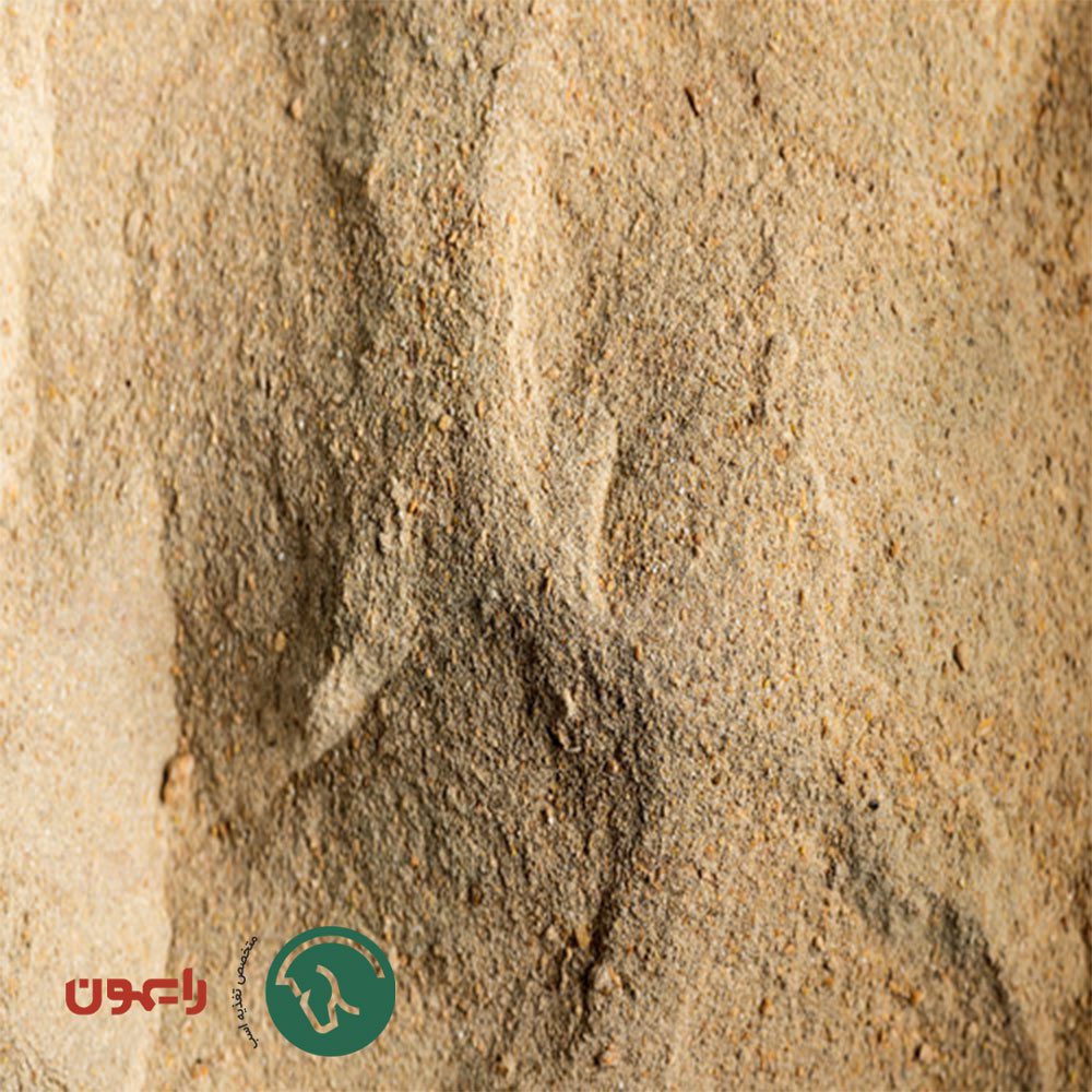 مکمل گرو ایکس رایمون ۵ کیلوگرم | محرک رشد کره اسب ®GrowX - Image 2