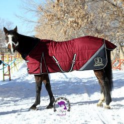 جل زمستانه برزنتی اسب (بدون گردنی) | 5