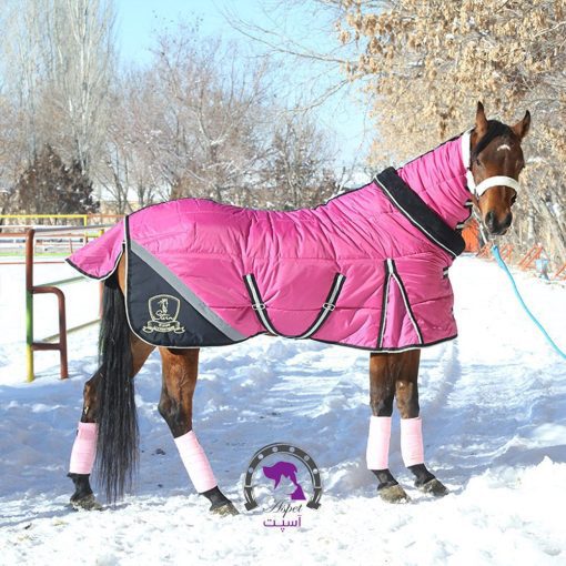 جل زمستانه برزنتی اسب (بدون گردنی) | 3