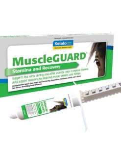 خمیر ماسل گارد / MuscleGUARD
