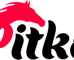 pitko برند پیتکو