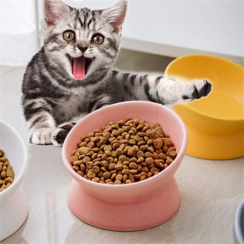 بهترین غذای خشک گربه | 1