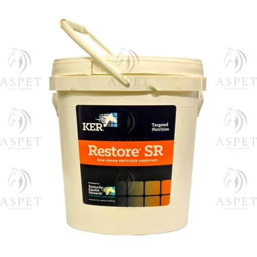 Restore ری استور