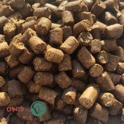 Alternative view of کول ایکس رایمون