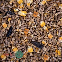 Alternative view of پاورکینگ | Power King